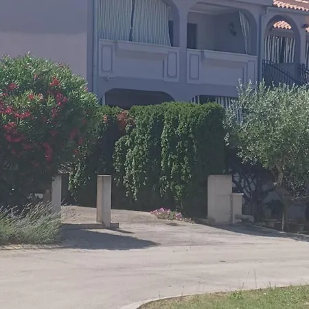 Purple House Apartment