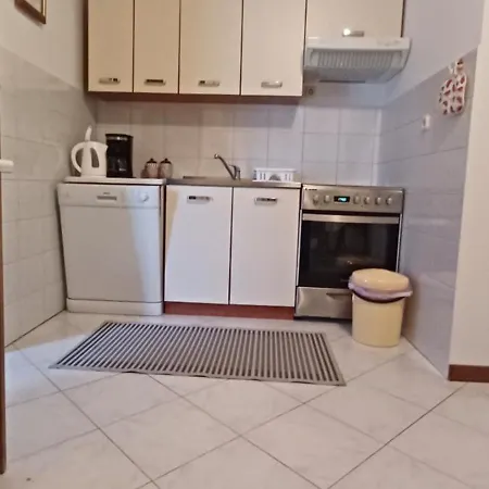 Purple House * פולה